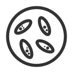Malaria Pv Microscope SVG Icon